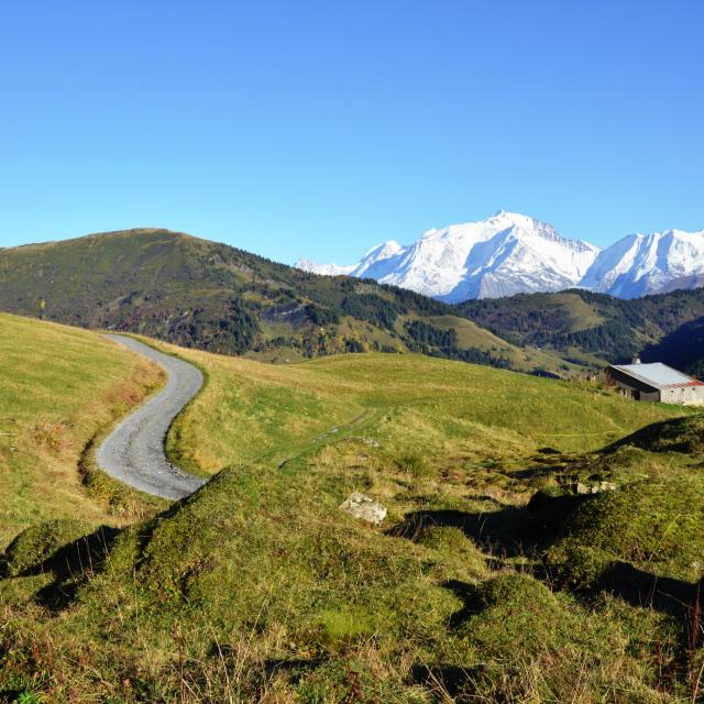 Randonnée sur la route des Chalets à La Giettaz en Aravis
