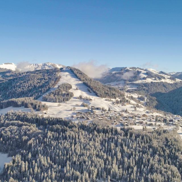 20181025-drone-985.jpg