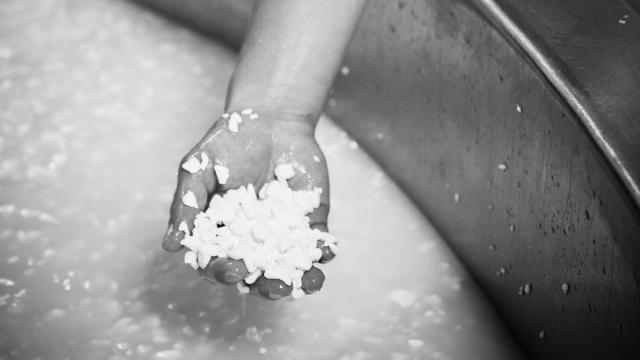 Coopérative Fruitière Fabrication Du Reblochon Lait Caillé