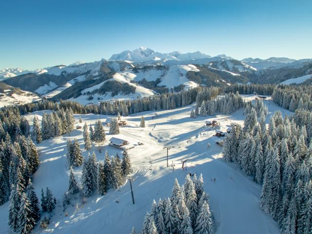 Crest-Voland / Cohennoz Domaine skiable