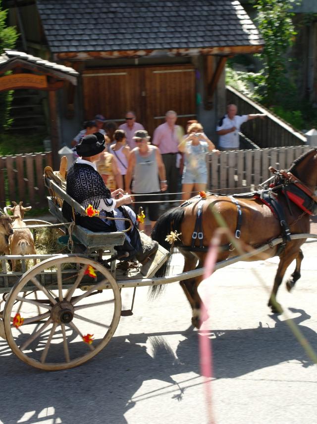 20120824 Fete Attelage 008 02